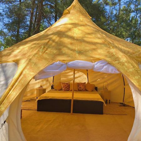 Vinsan Glamping & Wellness Centre Ξενοδοχείο Ελεούσα Εξωτερικό φωτογραφία