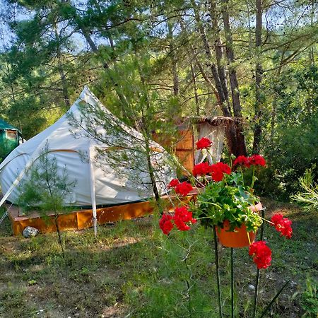 Vinsan Glamping & Wellness Centre Ξενοδοχείο Ελεούσα Εξωτερικό φωτογραφία