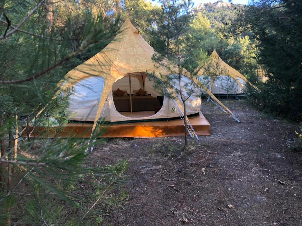 Vinsan Glamping & Wellness Centre Ξενοδοχείο Ελεούσα Εξωτερικό φωτογραφία
