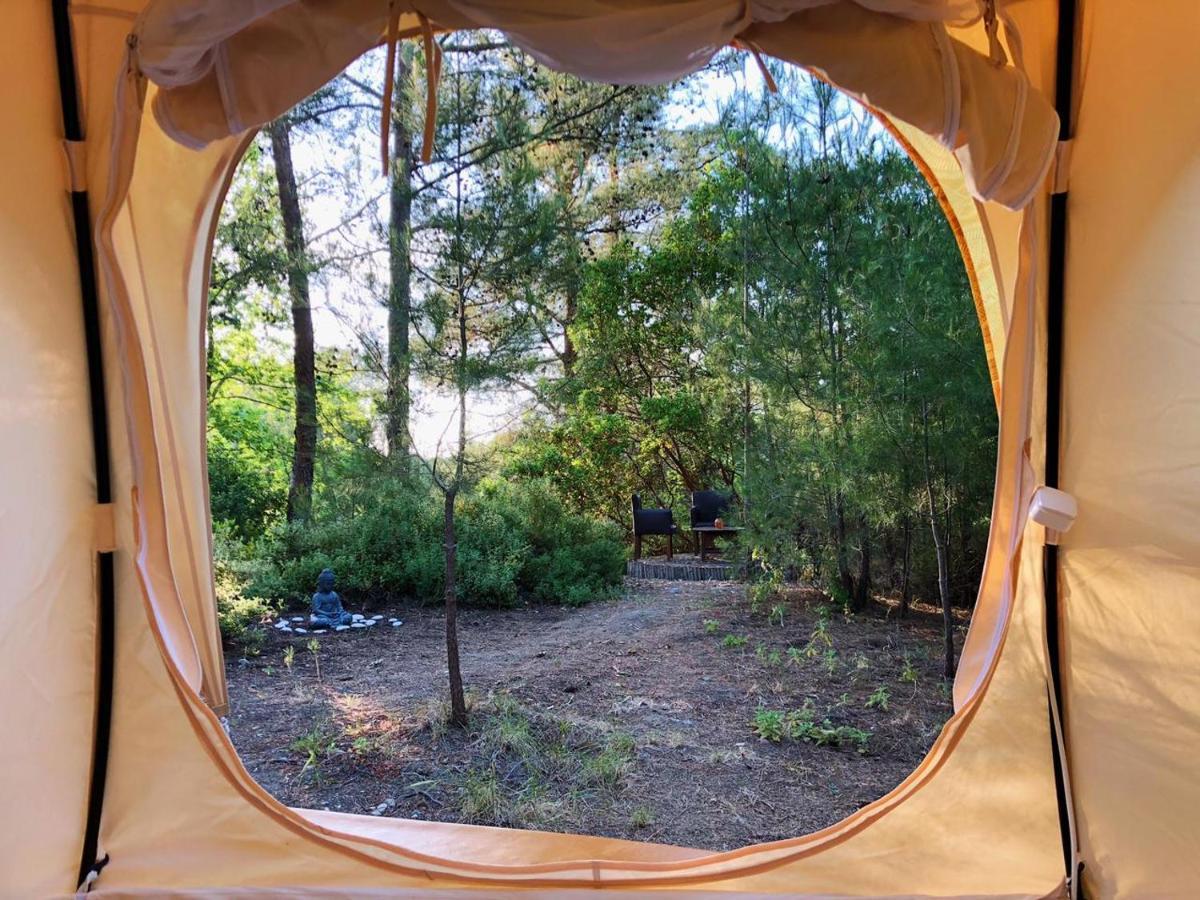 Vinsan Glamping & Wellness Centre Ξενοδοχείο Ελεούσα Εξωτερικό φωτογραφία