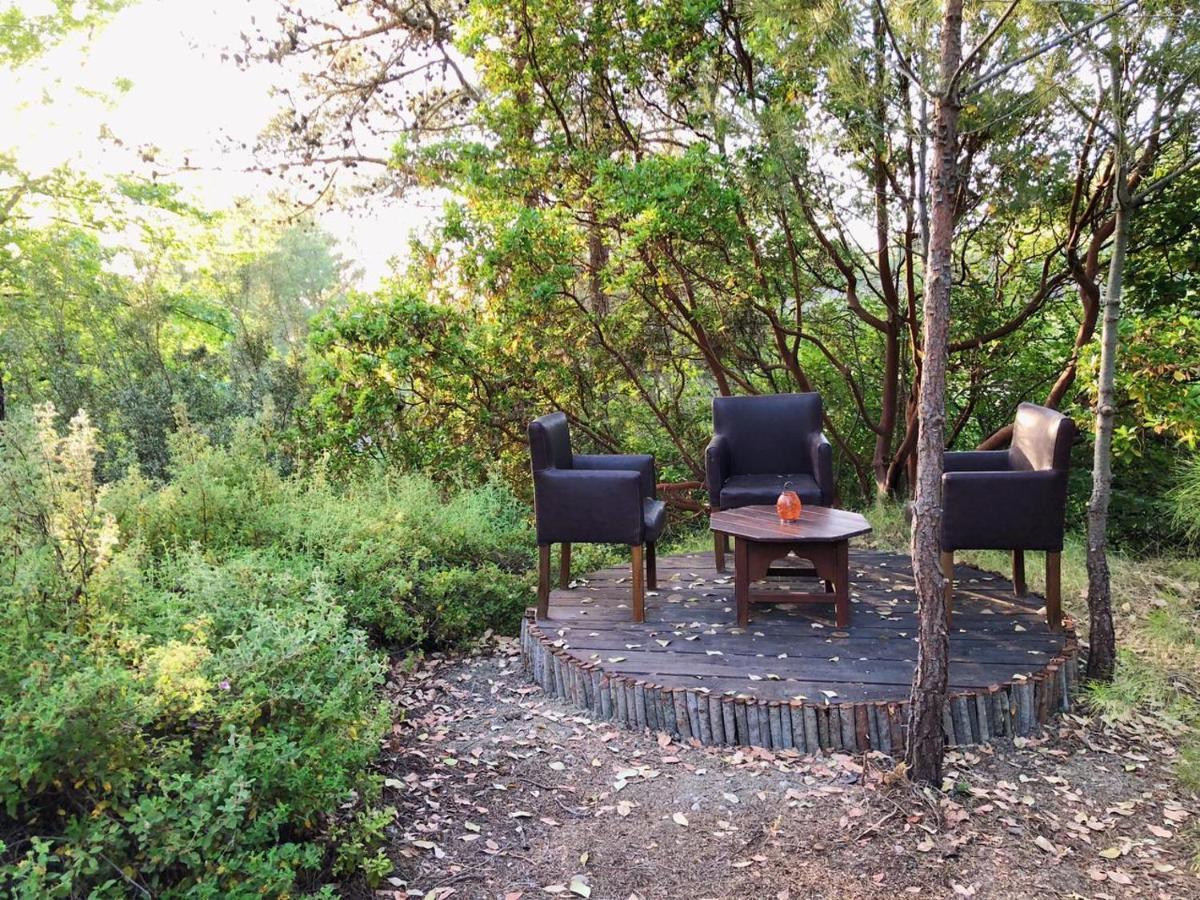 Vinsan Glamping & Wellness Centre Ξενοδοχείο Ελεούσα Εξωτερικό φωτογραφία