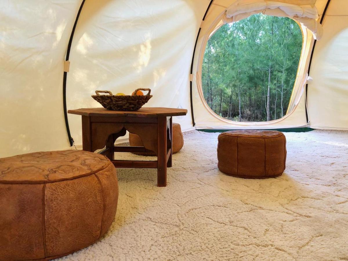 Vinsan Glamping & Wellness Centre Ξενοδοχείο Ελεούσα Εξωτερικό φωτογραφία