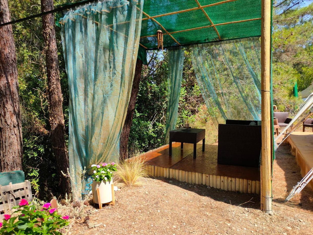 Vinsan Glamping & Wellness Centre Ξενοδοχείο Ελεούσα Εξωτερικό φωτογραφία