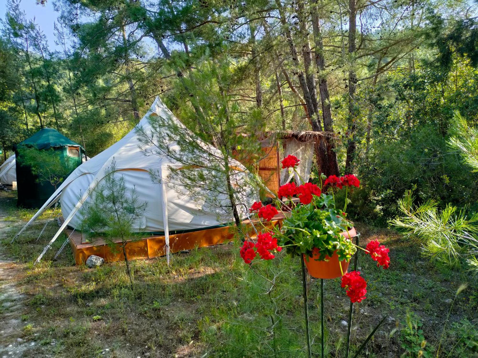 Vinsan Glamping & Wellness Centre Ξενοδοχείο Ελεούσα Εξωτερικό φωτογραφία