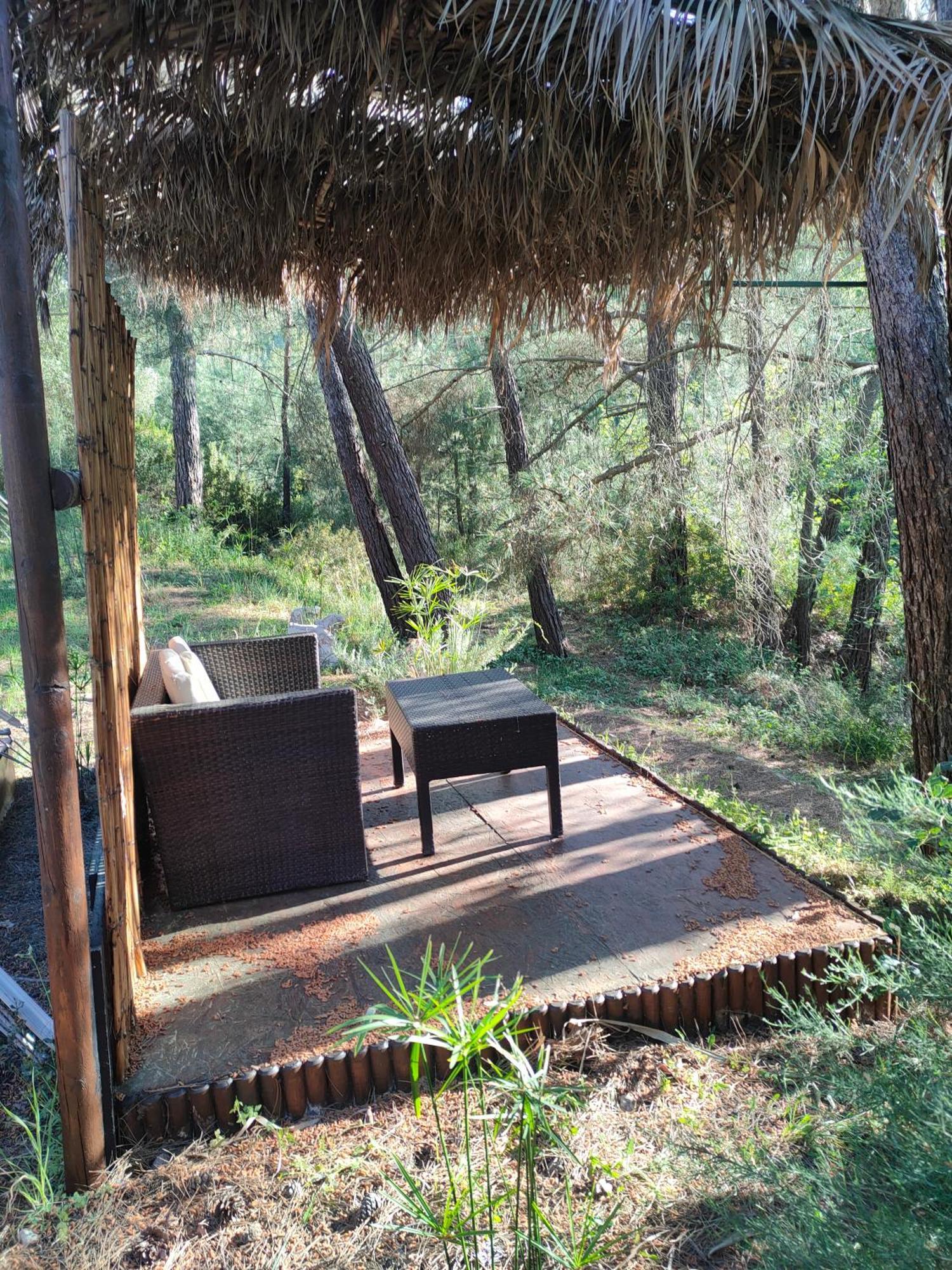 Vinsan Glamping & Wellness Centre Ξενοδοχείο Ελεούσα Εξωτερικό φωτογραφία