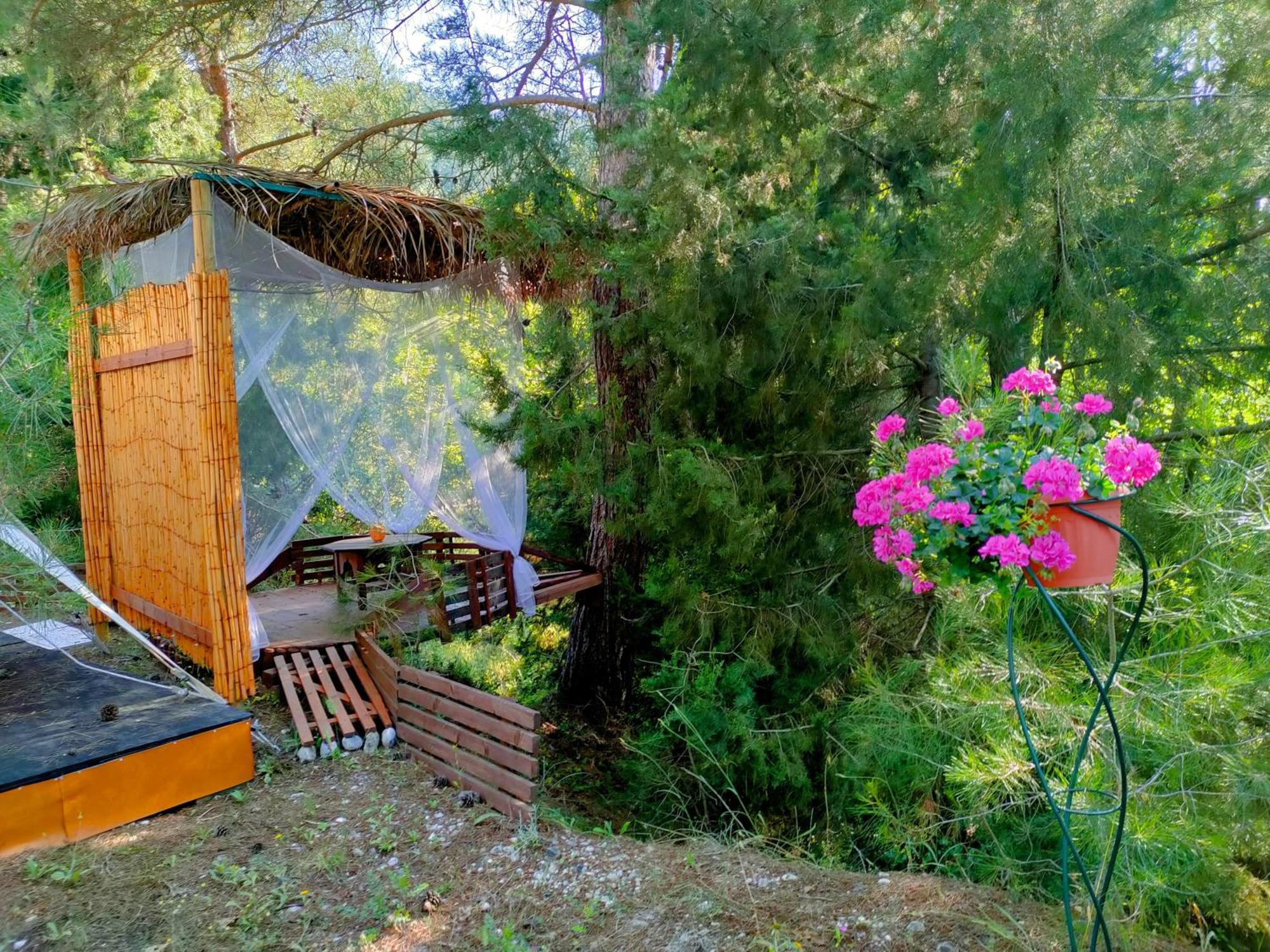 Vinsan Glamping & Wellness Centre Ξενοδοχείο Ελεούσα Εξωτερικό φωτογραφία